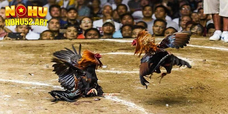 Giới thiệu về chúng tôi với các game đặc sắc